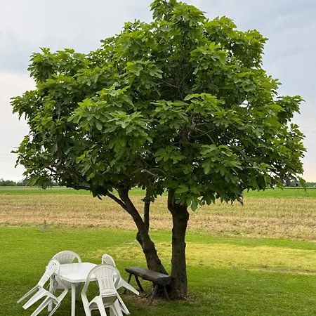 Ca' Rosin - Tra Relax E Privacy 3*